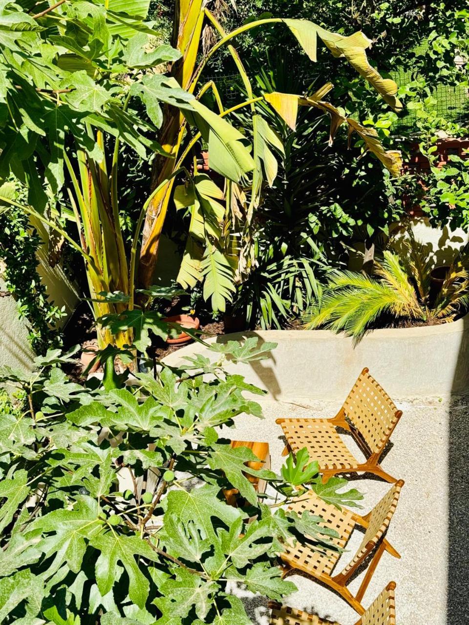 Maison Lyo Suite Luxe Cannes Exterior foto